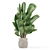 Modern Indoor Plants Set 1958 3D model small image 3