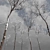 Winter Snow Trees 3D Models 3D model small image 2