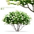 Flowering Viburnum Multistem 3D Model 3D model small image 1