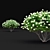 Flowering Viburnum Multistem 3D Model 3D model small image 5