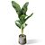  Botanical Bliss 3D Plants Pack 3D model small image 2