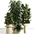 Premium Indoor Plant Set 81 3D model small image 1