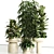 Premium Indoor Plant Set 81 3D model small image 6