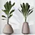 Exotic Licuala Grandis Palm Set 3D model small image 2