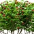 Viburnum Berries Multistem Plant Bundle 3D model small image 3