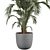 Modern Indoor Plant 3D Model 3D model small image 2