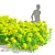 Marsh Spurge 3D Models Collection 3D model small image 3