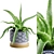 Lush Aloe Vera Mini Pot 3D model small image 2