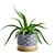 Lush Aloe Vera Mini Pot 3D model small image 4