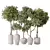 Artificial Olivo Olea Tree Set 3D model small image 1