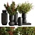  Elegant Vase Plant Set 3D model small image 1