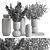  Elegant Vase Plant Set 3D model small image 3