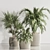 Elegant Indoor Plant Set 132 3D model small image 2