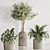 Elegant Indoor Plant Set 132 3D model small image 3