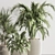 Elegant Indoor Plant Set 132 3D model small image 4