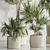 Elegant Indoor Plant Set 132 3D model small image 5