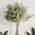 Elegant Indoor Plant Set 132 3D model small image 6