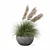 Modern Pot Grass Plants Collection 3D model small image 2