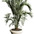 Modern Indoor Plant 3D Model 3D model small image 2