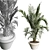 Modern Indoor Plant 3D Model 3D model small image 3