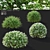 Gray Spiraea Trimmed Bushes Kit 3D model small image 1