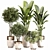 Modern Indoor Plant Set 045 3D model small image 1