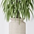 Variety of Huge Ficus Models 3D model small image 4