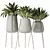 Modern Snake Plant Set 3D 3D model small image 1