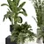  Modern Indoor Plant Collection 3D model small image 2