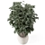 Rusty Concrete Pot Indoor Plants 3D model small image 4