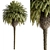  Palm Tree Set 288 3D model small image 1