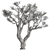 Rustic Dry Olive Tree Set 3D model small image 3