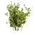 Blueberry Bush 3D Plant Model 3D model small image 4