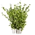 Blueberry Bush 3D Plant Model 3D model small image 6