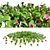 Hybrid Bearberry 3D Models	Collection 3D model small image 1