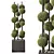 Versatile Outdoor Plant Set, Polys: 1928928 3D model small image 2