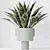 Elegant Snake Plant Set - Feng Shui Greens 3D model small image 3
