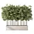 Evergreen Outdoor Plant No.60 3D model small image 1