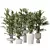 Tropical Plant Vase Collection 3D model small image 1