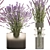 Field Flowers Bouquet Set 3D model small image 3