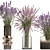 Field Flowers Bouquet Set 3D model small image 4