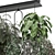  Hanging Indoor Plants Metal Box 3D model small image 3