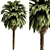 Tropical Palm Tree 3D Model 3D model small image 1