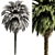 Tropical Palm Tree 3D Model 3D model small image 3