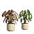 73-Piece Indoor Plant Ceramic Pot 3D model small image 8