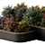 Bloom Box - Garden Blossoms 3D model small image 3