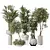 Indoor Plant Set 3D Models 3D model small image 1