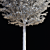 Carpinus Betulus Fastigiata Set 3D model small image 5