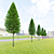 Carpinus Betulus Fastigiata Set 3D model small image 7