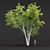 Tree Collection 3D Models Pack 3D model small image 2